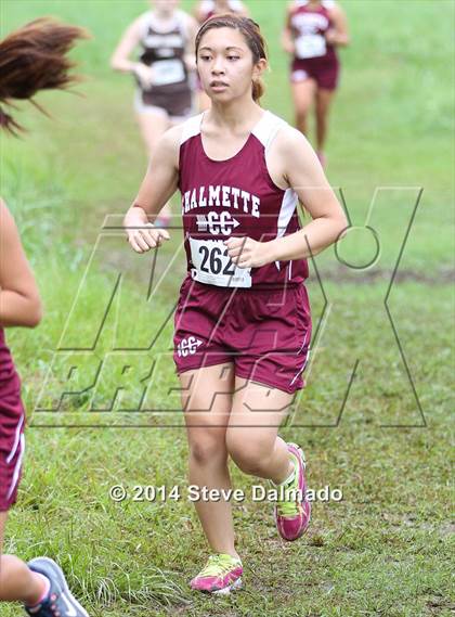 Thumbnail 2 in Mt. Carmel Invitational (Girls) photogallery.