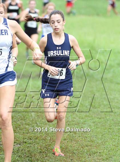 Thumbnail 2 in Mt. Carmel Invitational (Girls) photogallery.