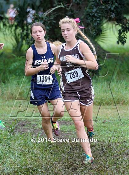 Thumbnail 3 in Mt. Carmel Invitational (Girls) photogallery.