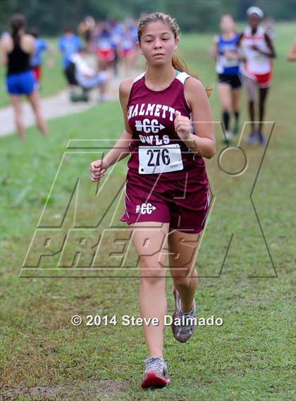 Thumbnail 1 in Mt. Carmel Invitational (Girls) photogallery.