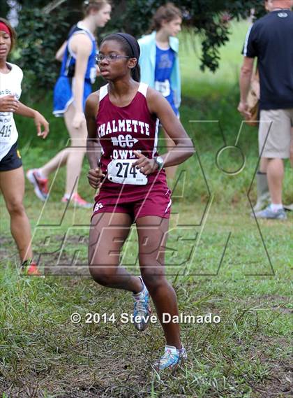 Thumbnail 3 in Mt. Carmel Invitational (Girls) photogallery.