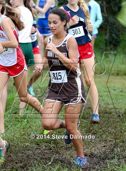 Thumbnail 1 in Mt. Carmel Invitational (Girls) photogallery.