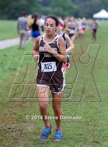 Thumbnail 1 in Mt. Carmel Invitational (Girls) photogallery.