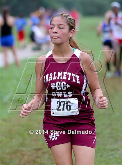 Thumbnail 2 in Mt. Carmel Invitational (Girls) photogallery.
