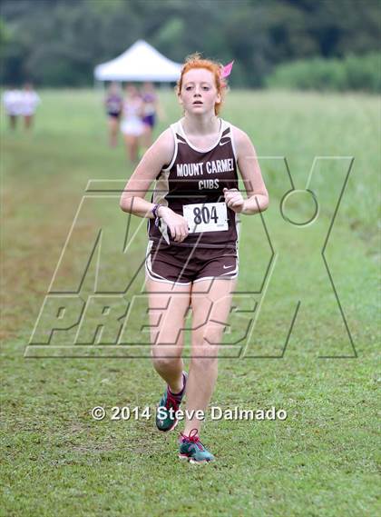 Thumbnail 1 in Mt. Carmel Invitational (Girls) photogallery.
