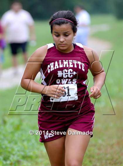 Thumbnail 2 in Mt. Carmel Invitational (Girls) photogallery.