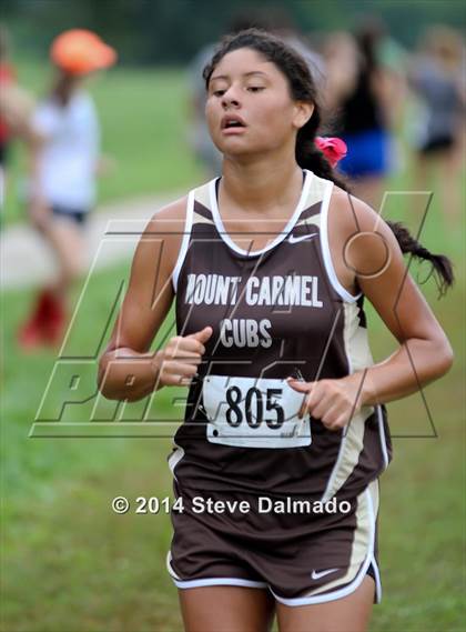 Thumbnail 2 in Mt. Carmel Invitational (Girls) photogallery.