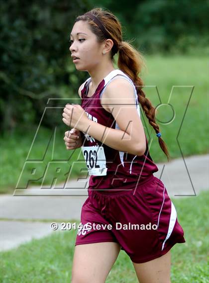 Thumbnail 1 in Mt. Carmel Invitational (Girls) photogallery.