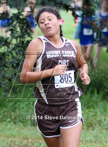 Thumbnail 3 in Mt. Carmel Invitational (Girls) photogallery.