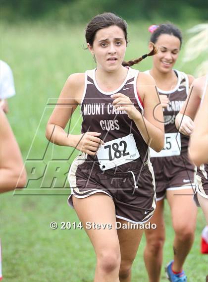 Thumbnail 3 in Mt. Carmel Invitational (Girls) photogallery.