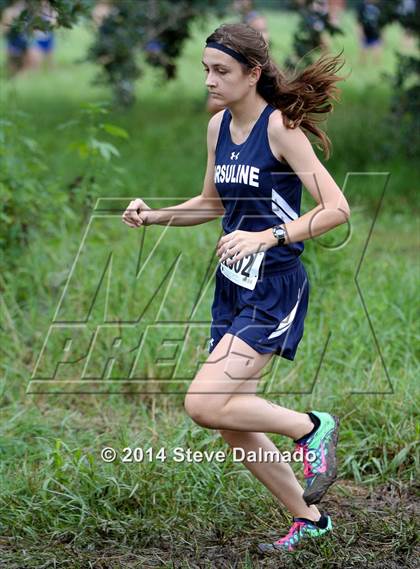 Thumbnail 3 in Mt. Carmel Invitational (Girls) photogallery.