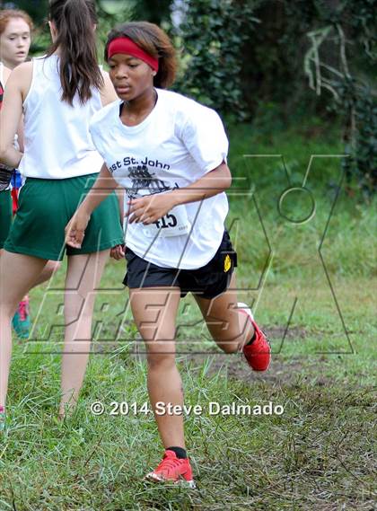 Thumbnail 1 in Mt. Carmel Invitational (Girls) photogallery.