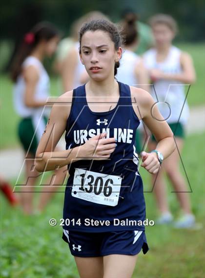 Thumbnail 3 in Mt. Carmel Invitational (Girls) photogallery.