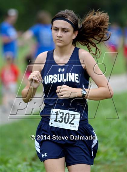 Thumbnail 1 in Mt. Carmel Invitational (Girls) photogallery.