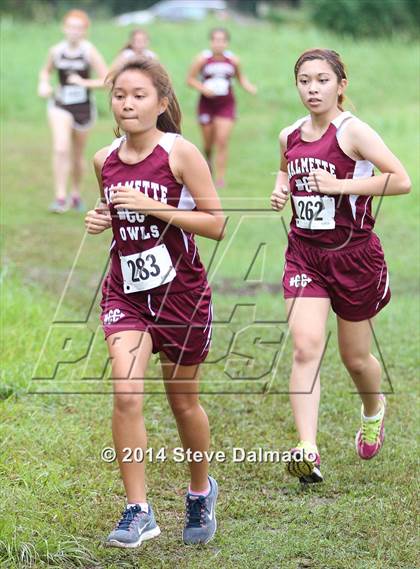 Thumbnail 1 in Mt. Carmel Invitational (Girls) photogallery.