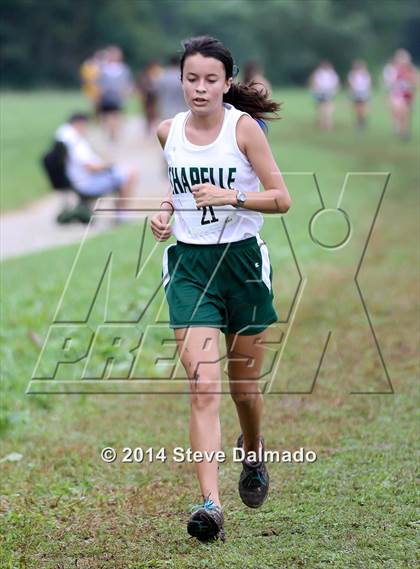 Thumbnail 2 in Mt. Carmel Invitational (Girls) photogallery.