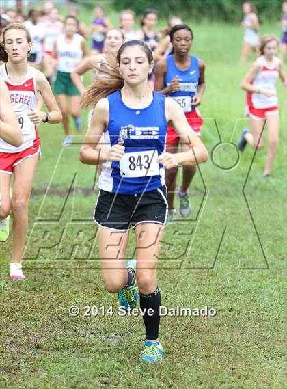 Thumbnail 1 in Mt. Carmel Invitational (Girls) photogallery.