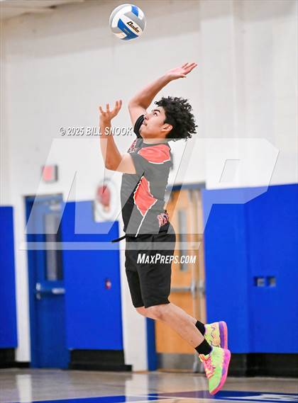 Thumbnail 3 in Reading @ Exeter Township photogallery.