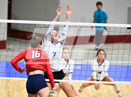 Thumbnail 3 in Chaparral vs. Denver South (CHSAA 5A 2nd Round) photogallery.