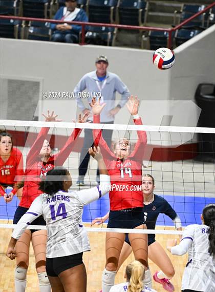 Thumbnail 2 in Chaparral vs. Denver South (CHSAA 5A 2nd Round) photogallery.
