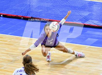 Thumbnail 1 in Chaparral vs. Denver South (CHSAA 5A 2nd Round) photogallery.