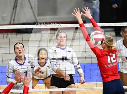 Thumbnail 3 in Chaparral vs. Denver South (CHSAA 5A 2nd Round) photogallery.