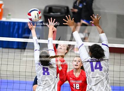Thumbnail 1 in Chaparral vs. Denver South (CHSAA 5A 2nd Round) photogallery.