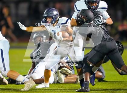 Thumbnail 1 in Higley @ Williams Field photogallery.