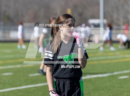 Thumbnail 3 in Myers Park @ Palisades photogallery.