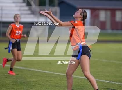 Thumbnail 1 in Satsuma @ McGill-Toolen photogallery.