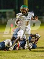 Photo from the gallery "Pine Forest @ Terry Sanford"