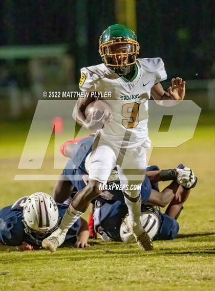 Thumbnail 3 in Pine Forest @ Terry Sanford photogallery.