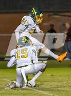 Photo from the gallery "Pine Forest @ Terry Sanford"