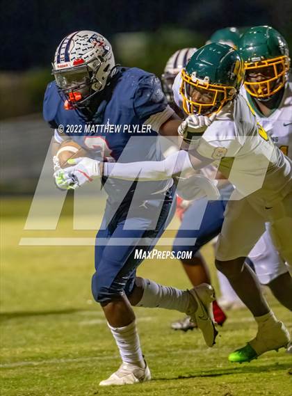 Thumbnail 1 in Pine Forest @ Terry Sanford photogallery.