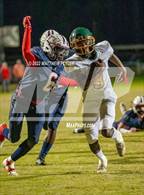 Photo from the gallery "Pine Forest @ Terry Sanford"