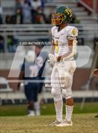 Photo from the gallery "Pine Forest @ Terry Sanford"
