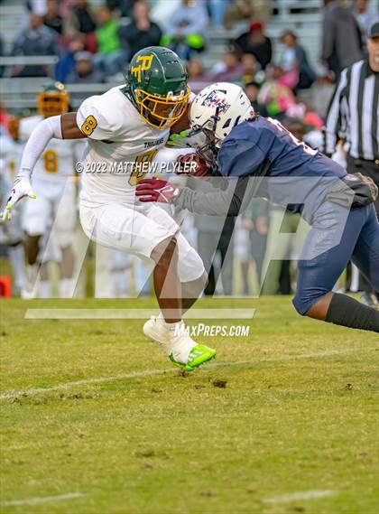 Thumbnail 2 in Pine Forest @ Terry Sanford photogallery.