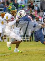 Photo from the gallery "Pine Forest @ Terry Sanford"