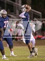 Photo from the gallery "Pine Forest @ Terry Sanford"