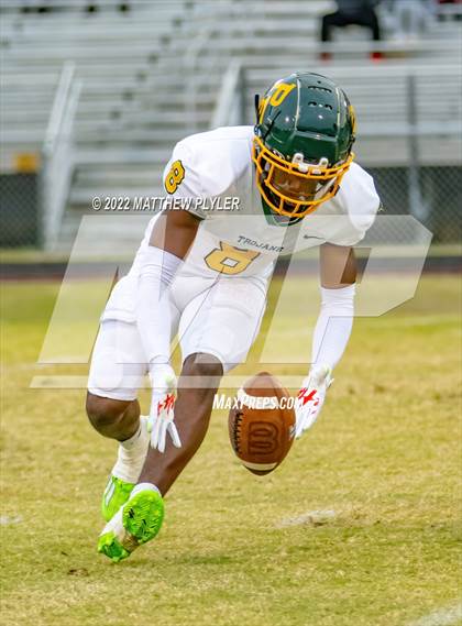 Thumbnail 1 in Pine Forest @ Terry Sanford photogallery.