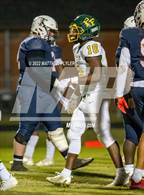 Photo from the gallery "Pine Forest @ Terry Sanford"