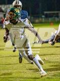 Photo from the gallery "Pine Forest @ Terry Sanford"