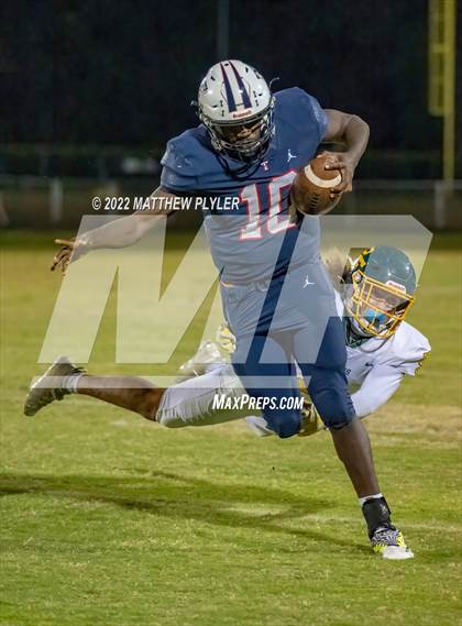 Thumbnail 1 in Pine Forest @ Terry Sanford photogallery.