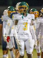 Photo from the gallery "Pine Forest @ Terry Sanford"