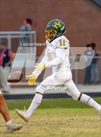 Photo from the gallery "Pine Forest @ Terry Sanford"