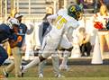Photo from the gallery "Pine Forest @ Terry Sanford"