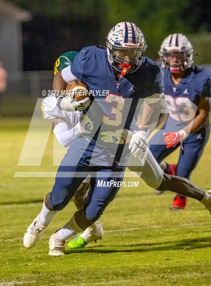 Thumbnail 1 in Pine Forest @ Terry Sanford photogallery.
