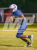 Photo from the gallery "Pine Forest @ Terry Sanford"
