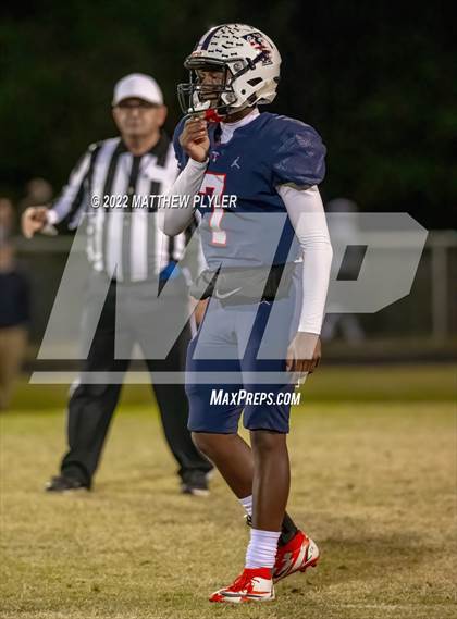 Thumbnail 1 in Pine Forest @ Terry Sanford photogallery.