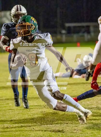 Thumbnail 2 in Pine Forest @ Terry Sanford photogallery.